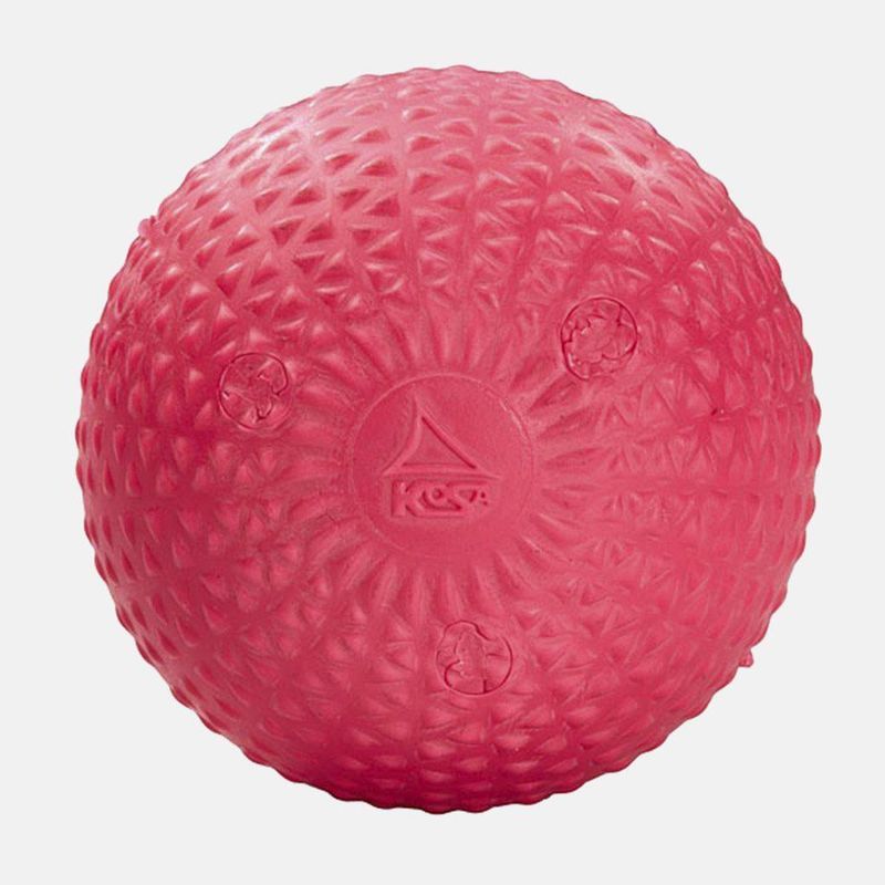 Kosa bandyball Cerice